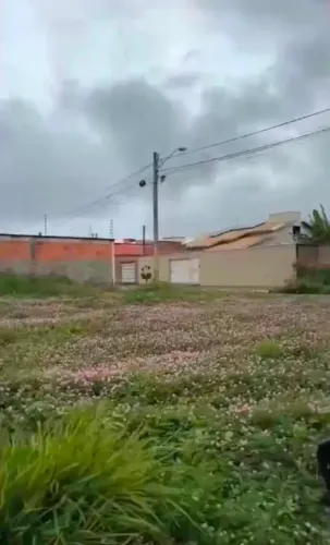 1503 sul , Arso 151 (quadra fundo a Ulbra) , Lote esquina,c área total 397mt