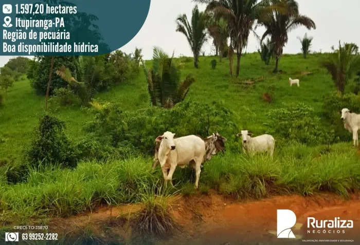 FAZENDA PARA PECUÁRIA EM ITUPIRANGA-PA