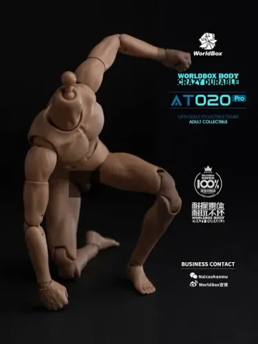 Corpo Articulado 1/6 WorldBox AT020-Pro (Tennyson)