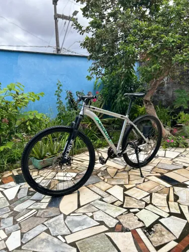 Absolut aro 29