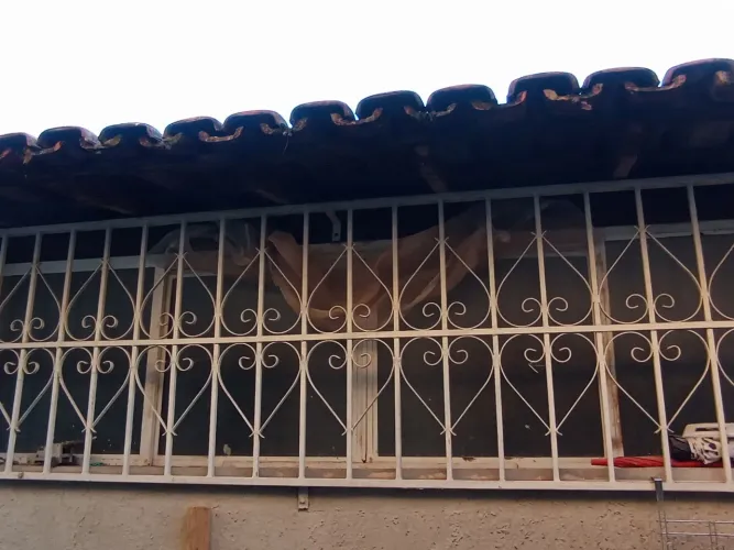 GRADE PARA JANELA/PORTA