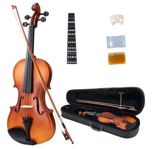 Violino
