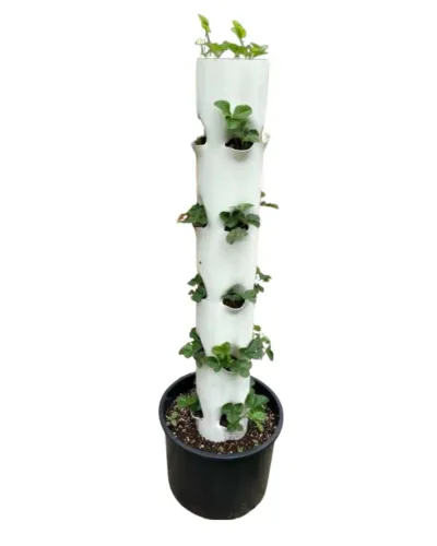 Hidroponia vertical