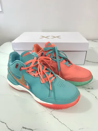 Tênis Nike Lebron NXXT Gen Tam 41