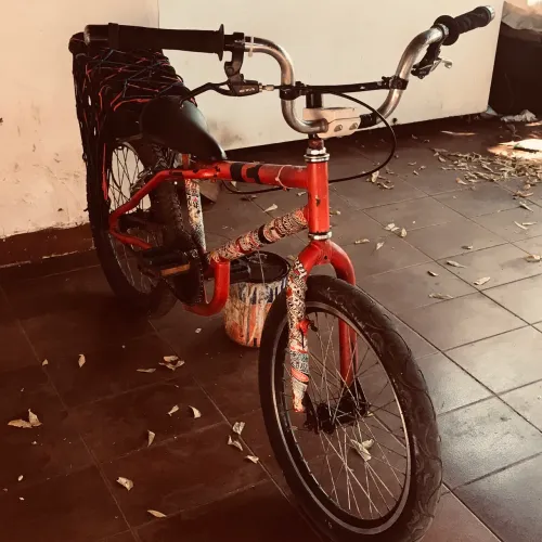 bicicleta