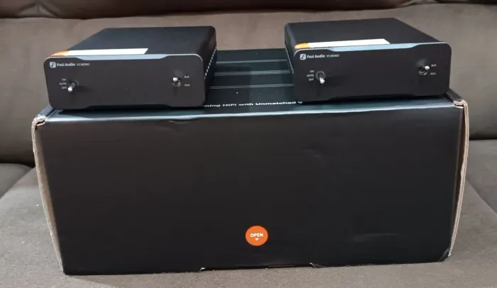 Fosi V3 Mono TPA3255 Monoblock