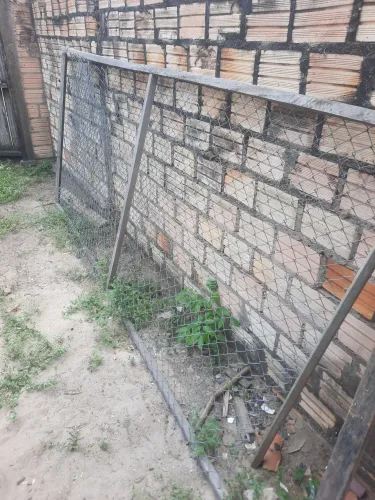 Tela de arame