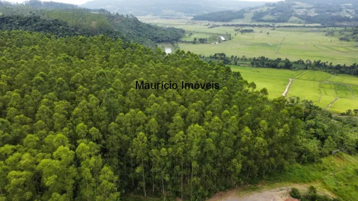 TERRENO COM REFLORESTAMENTO EUCALIPTOS, COM 27,72 HECTARES, BELA VISTA - TAIÓ - SC,