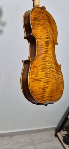 Violino splendor master