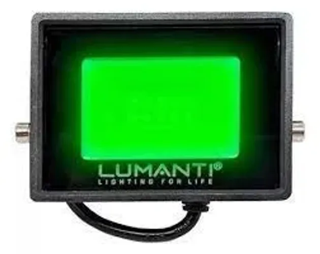 Refletor LED 100W VERDE Lumanti IP66 Bivolt