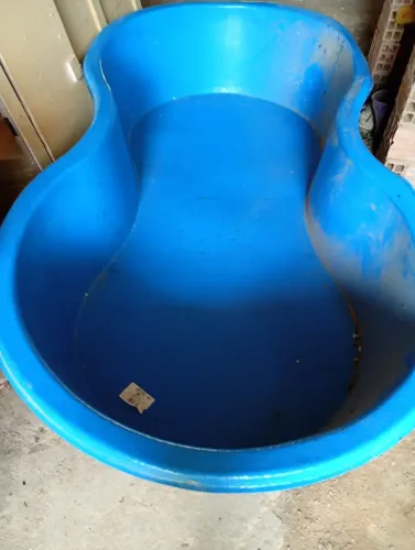 Piscina feijão
