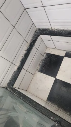 Remoção de gordura e encardido do banheiro.