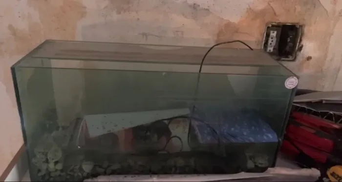 Aquário 40L