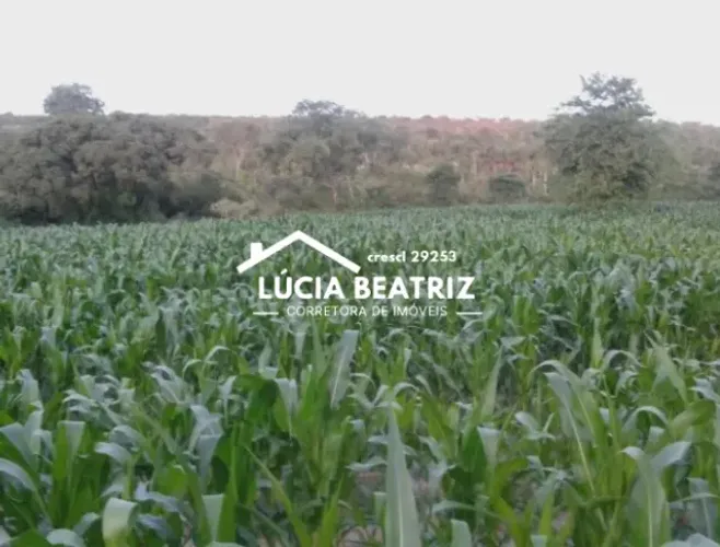 Vendo excelente Fazenda 237 ha, frente à usina hidrelétrica de Furnas-São José da Barra-MG