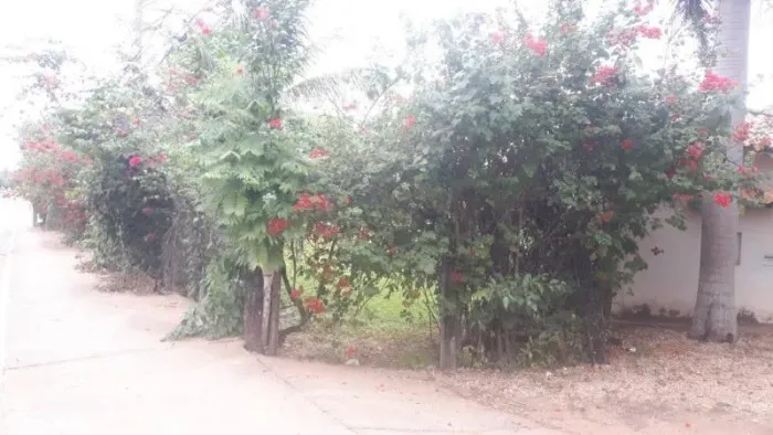 Casa com 6 quarto(s) no bairro Coophema em Cuiabá - MT