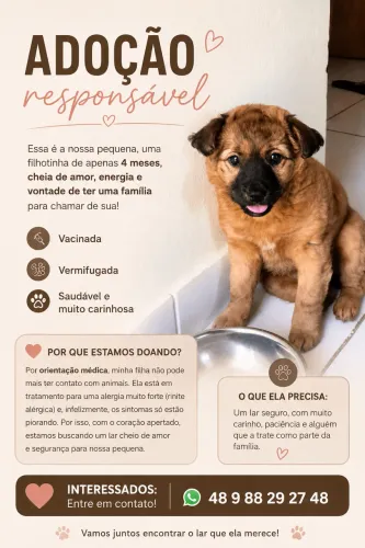 Doação de filhote fêmea