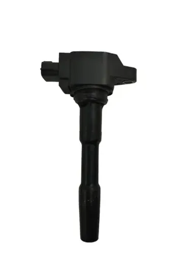Bobina ignição Duster/Captur/Sandero/Logan 1.6 2019 224336695r
