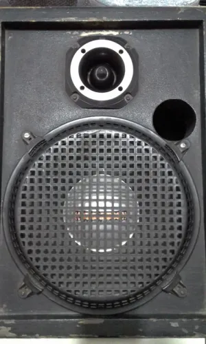 RETORNO 12" 300wattz