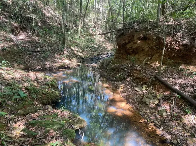 Fazendinha 20.000 m², agua nos fundos, casa, terra fértil, Jaboticatubas.