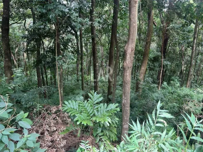 Lote em Condomínio à venda, Retiro do Chalé - Brumadinho/MG