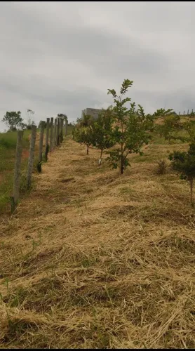 Oportunidade!! Chácara de 1.000m2 em Loteamento Fechado
