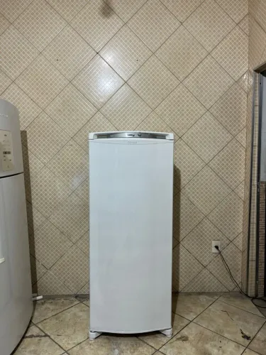 Freezer Consul degelo