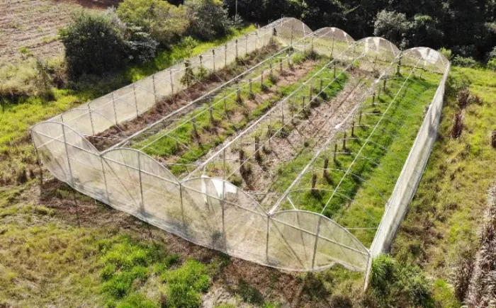 Estufa agrícola zannaleve galvanizada 1.260 m2 