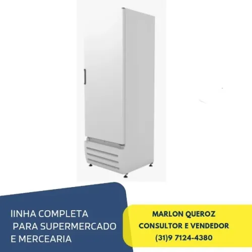 Congelador Vertical 500L Braslar Porta Cega