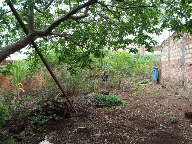 Terreno à venda em Uberaba (Bairro Fabrício)  300 m² para Residencial/Comercial