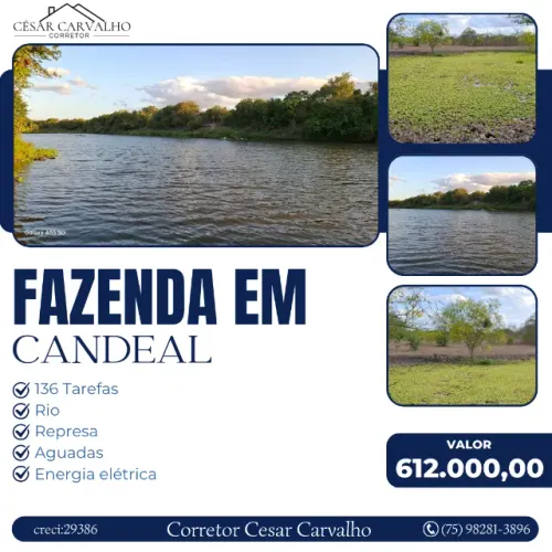FAZENDA EM CANDEAL - 136 TAREFAS