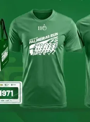 Camisa Palmeiras run 2024