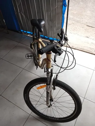 Bicicleta audax 