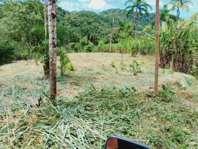 Vendo terreno em Juquiá 