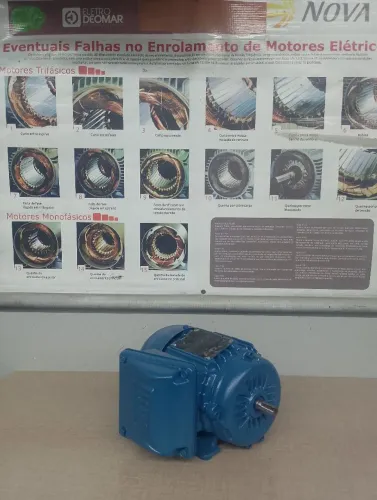 Motor trifásico Weg w22 0.33 cv 1700 rpm modelo 63 