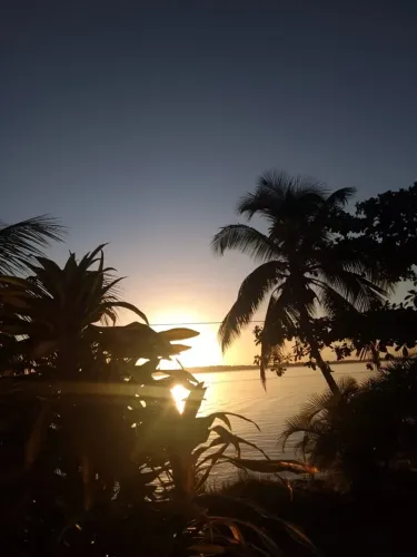 Lote Pé na Areia na Ilha de Timbuca, Igrapiúna - BA (Frente Mar)