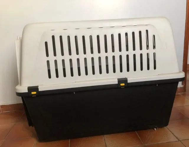 CAIXA PARA TRANSPORTE PET.