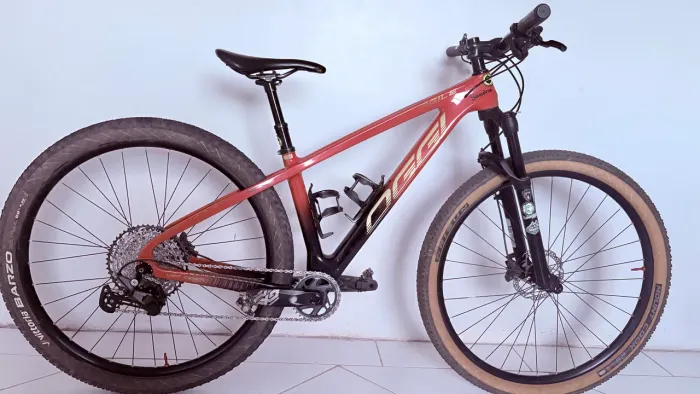 Bicicleta Oggi Agile Carbon 