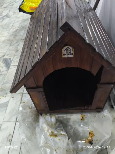 Casinha de cachorro