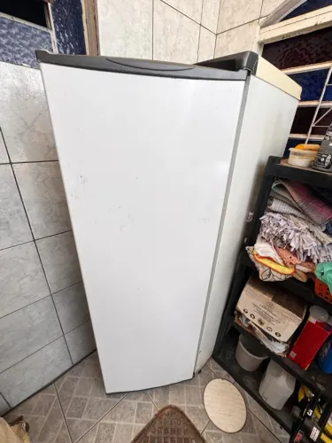 Freezer vertical