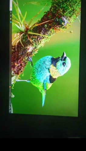 Vendo monitor aoc de 27 polegadas e 165hz