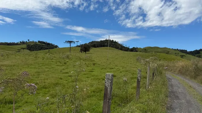 Imóvel para venda possui 20000 metros quadrados em Taquaras - Rancho Queimado - SC