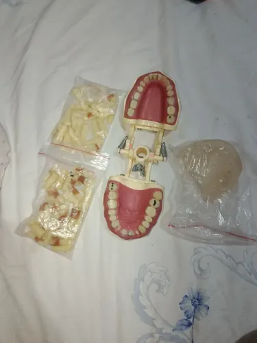 Manequim odontológico
