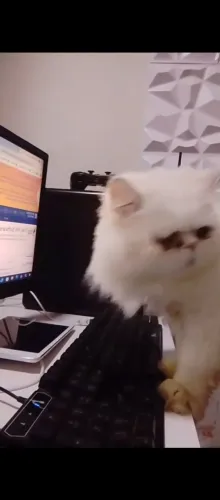 Computador