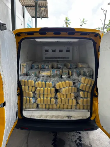 Refrigeração Fiorino 2020