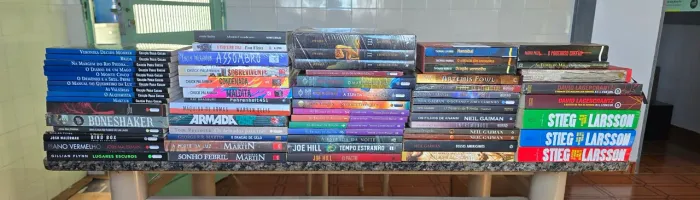 Lote de livros