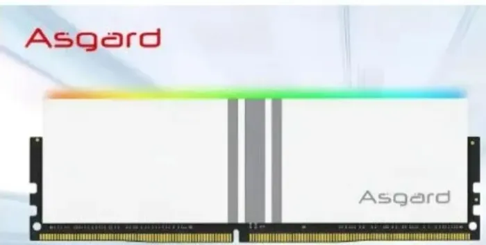 Memoria ram ddr4 16gb 3600mhz Asgard 1x16