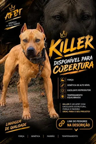 Cães