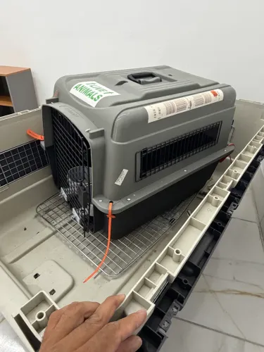 Caixa de transporte de cachorro para avião