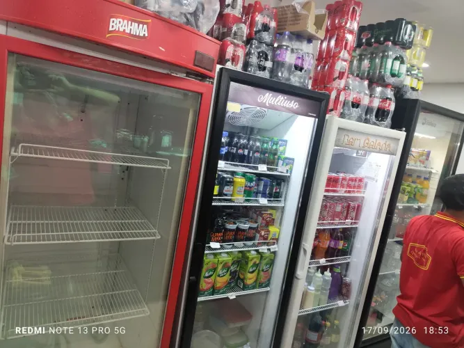 Freezer vertical
