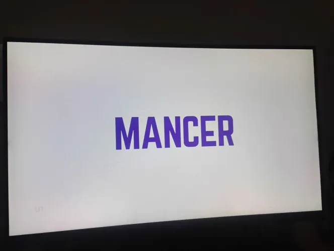 Monitor gamer